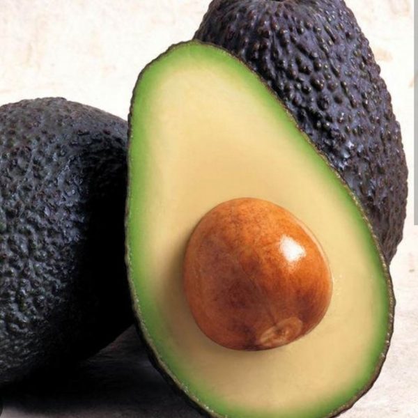 PALTA HASS PRIMERA 1 KILO