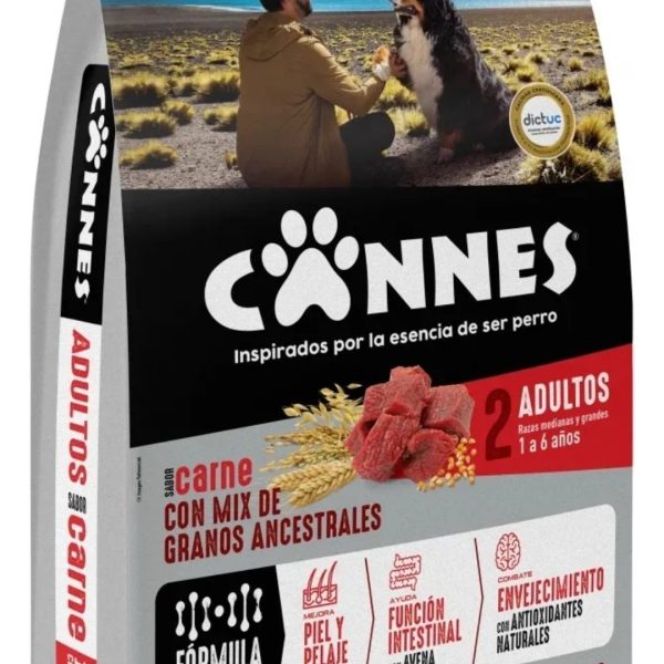 CANNES SABOR CARNE RAZAS MEDIANAS ALIMENTO MASCOTA PERRO