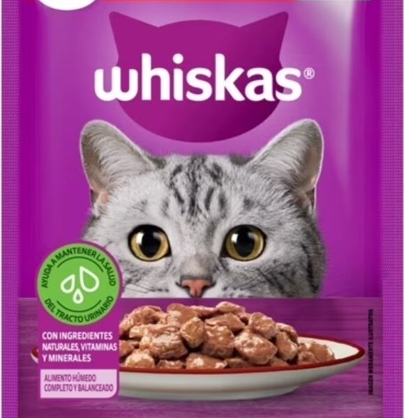ALIMENTO PARA GATITO SABOR CARNE WHISKAT 85 GR